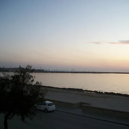 Sea 알게로